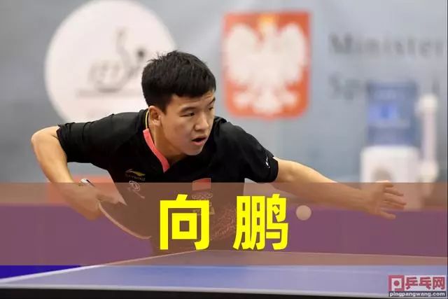 CBA联赛新增外援助力球队提升战绩