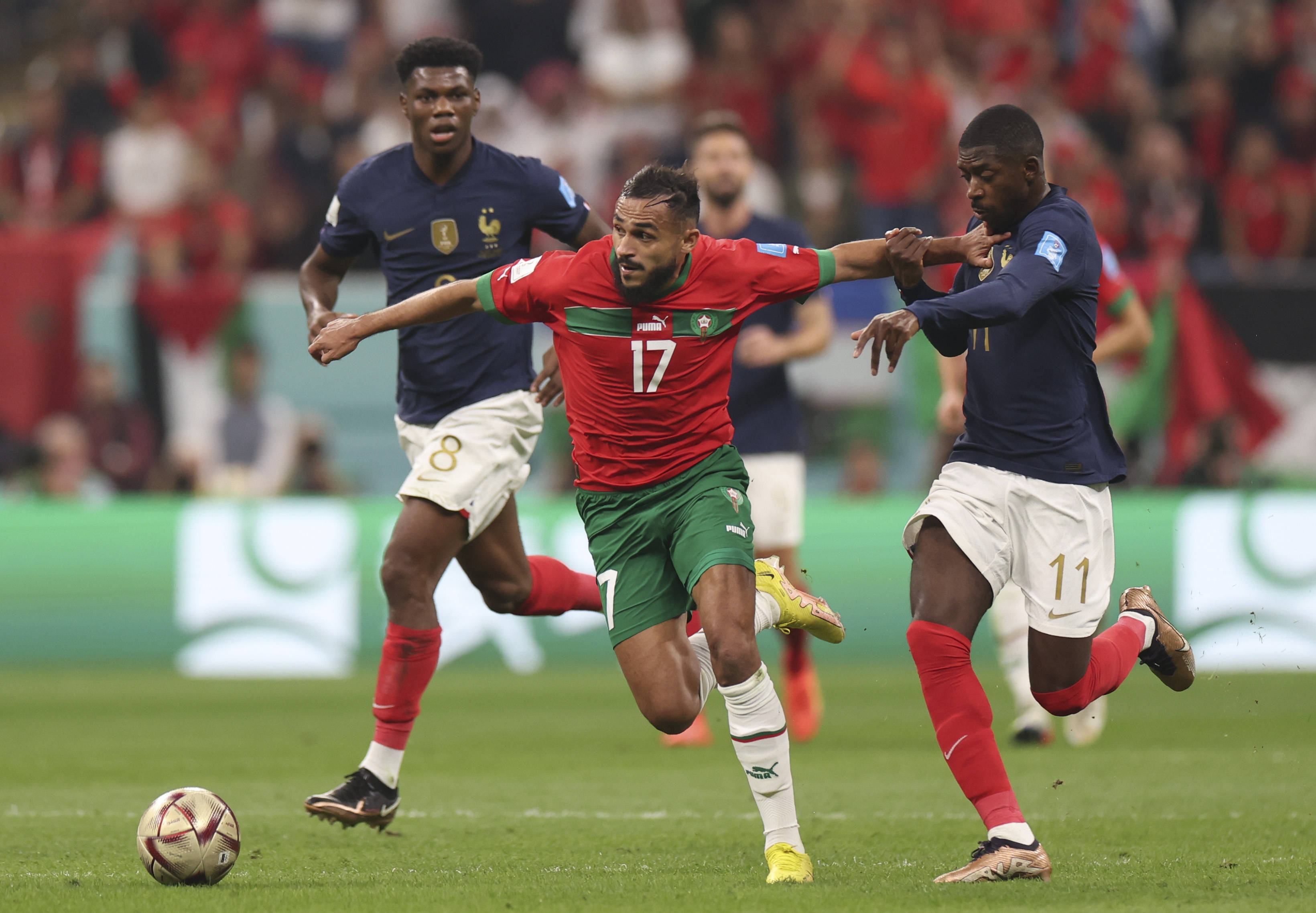 尽管南安普 尽管南安普