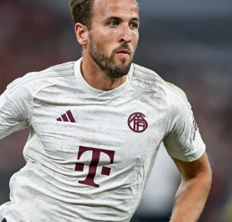 勇士队在类 勇士队在类